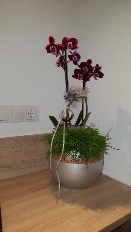 Apart La Vita Kappl  Habitación foto